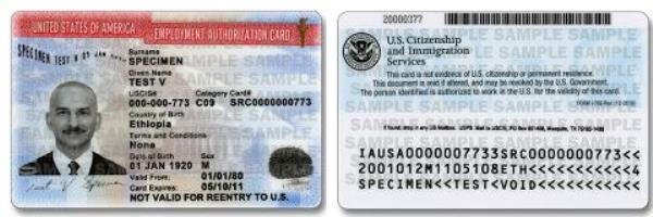 Work Permit Employment Authorization Card EAD Both Sides